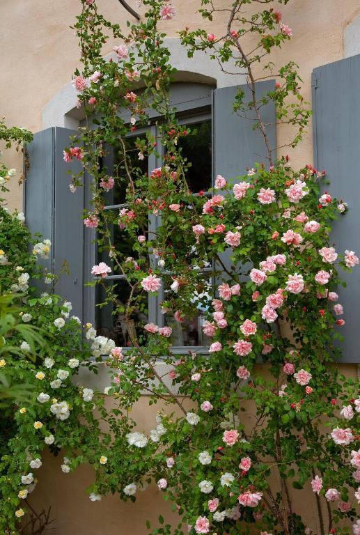 Logis Hotel - Restaurant La Marbrerie Caunes-Minervois Cameră foto